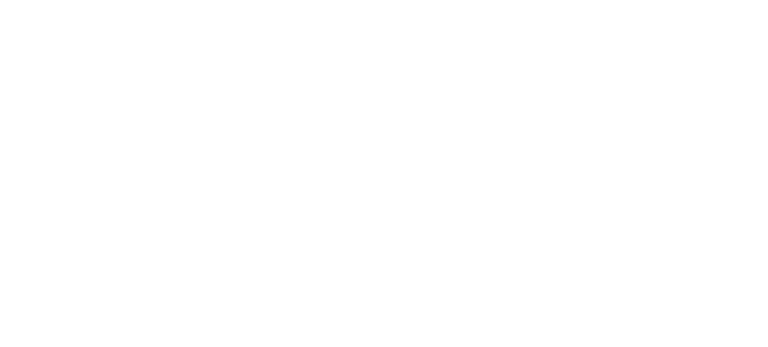 Inicio - P4NET